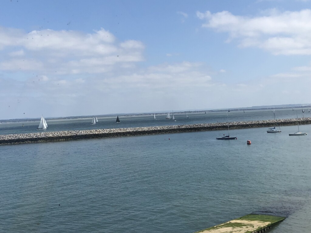 Inter-Livery Regatta